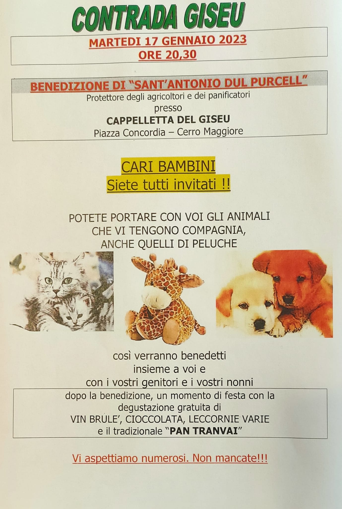 Comune di Nerviano - NEWS: IL CARNEVALE DEGLI ANIMALI